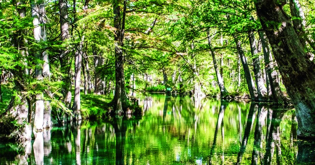 The famous Blue Hole Regional Park, highlighting one of the best outdoor activities for a memorable family vacation in Wimberley, Texas.