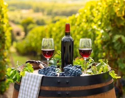 Best Places for Family Vacation in Wimberley: Terracotta Retreat